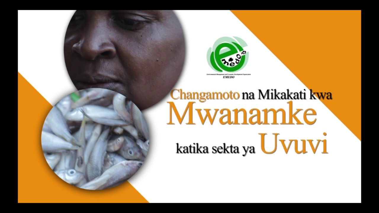 Film: Women in Small-scale Fisheries in Tanzania: Challenges and Opportunities