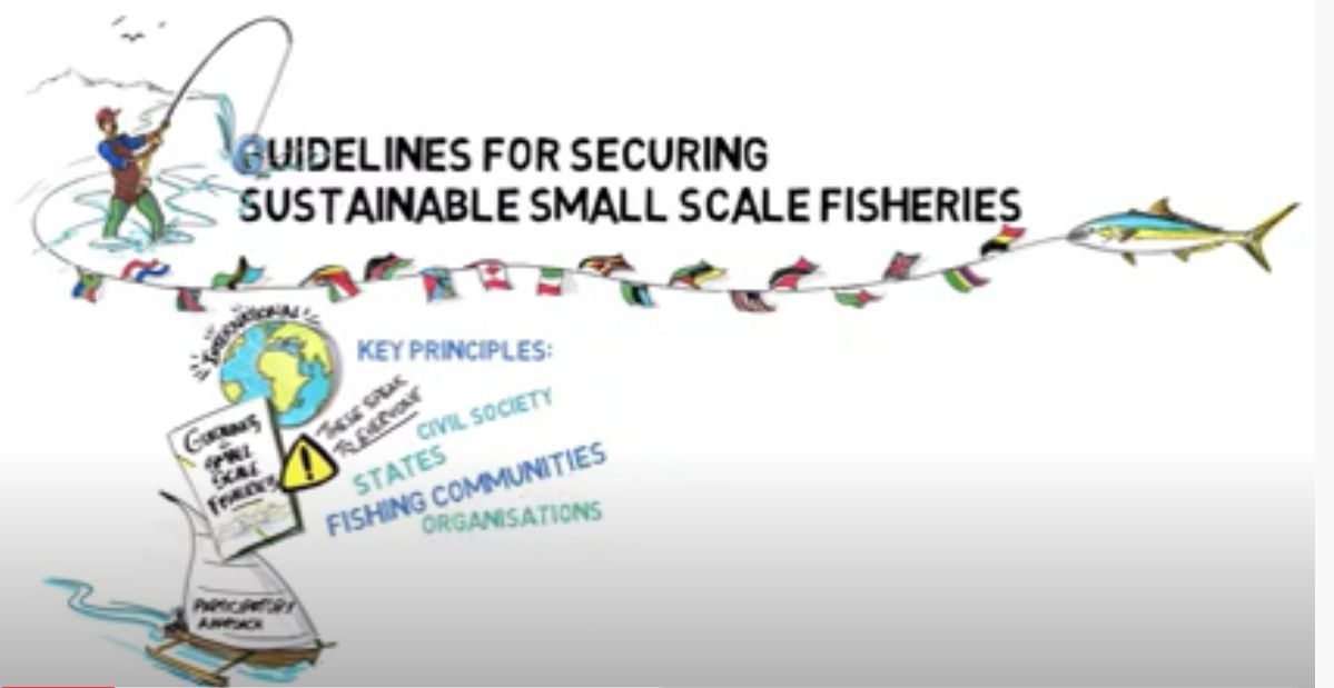 Film – Infographic Video on SSF Guidelines